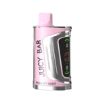 Buy Peachy Mint Juicy Bar 25000 Puffs - US