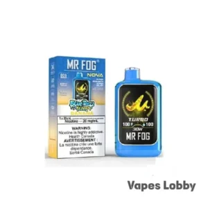 BLACKBERRY - MR FOG NOVA STEEZY EDITION 36K PUFFS - DISPOSABLE VAPE