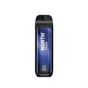 BLUE RAZZ - NORTH VISION 15K PUFFS - DISPOSABLE VAPE