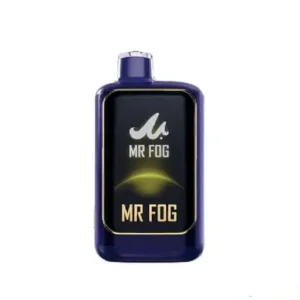 BLUEBERRY WATERMELON ICE - Mr Fog Nova 36K Puffs - Disposable Vape