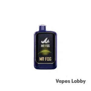 BLUEBERRY WATERMELON ICE - Mr Fog Nova 36K Puffs - Disposable Vape