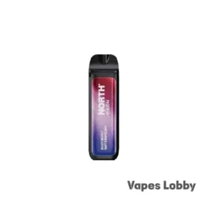 BLUEBERRY WATERMELON - NORTH VISION 15K PUFFS - DISPOSABLE VAPE