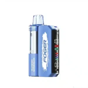 Blueberry Watermelon - Foger Switch Pro 30K Puffs - Disposable Kit