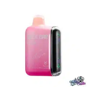 Blueberry Watermelon - Geek Bar Pulse 15000 Puffs - Disposable Vape