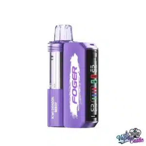 Kiwi Dragon Berry - Foger Switch Pro 30K Puffs - Disposable Kit