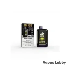 GRAPE BUBBLE GANG - Mr Fog Nova 36K Puffs - Disposable Vape