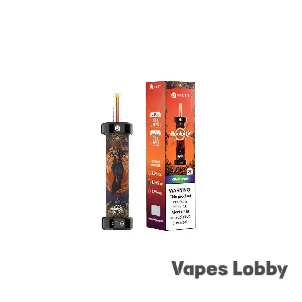GRAPE MINT - OLIT HOOKALIT 40K PUFFS - DISPOSABLE VAPE