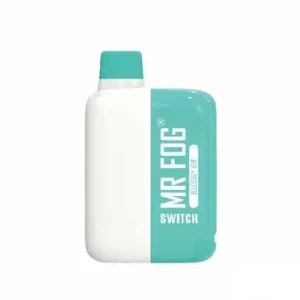 Mr Fog switch 5500 Blueberry Kiwi
