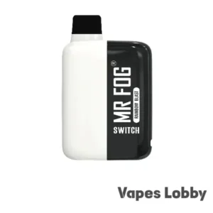 Mr Fog switch 5500 Rainbow blast