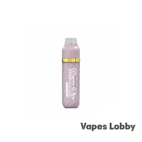Peach Blueraspberry Ice Mr Fog Max Air 3K Puffs disposable vape with mesh coil and frosty fruit flavor