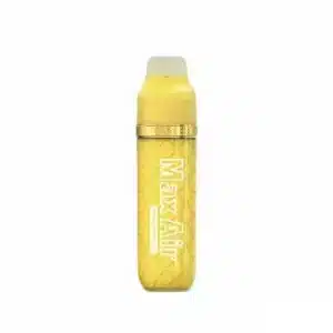 Peach Pineapple Ice - Mr Fog Max Air 3k Puffs - Disposable Vape