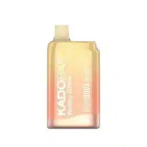 Pumpkin Vanilla Latte - Kado Bar KB 10K Puffs - Disposable Vape