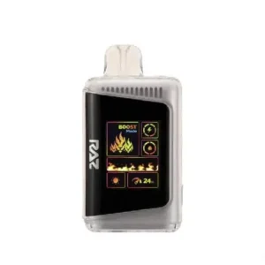 Raz 25000 Miami Mint - Disposable Vape