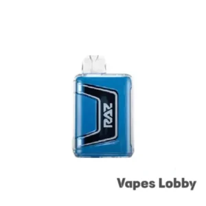Raz 9000 Blue Raz Ice - Disposable Vape