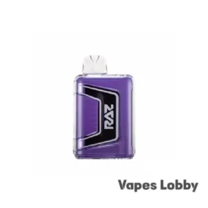 Raz 9000 Grape Ice - Disposable Vape