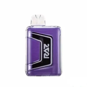 Raz 9000 Grape Ice - Disposable Vape