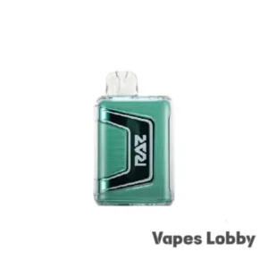 Raz 9000 Miami Mint - Disposable Vape