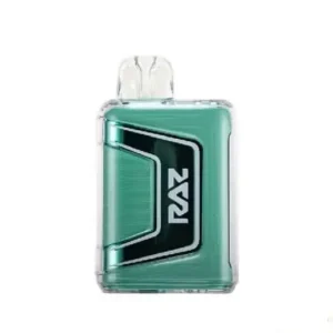 Raz 9000 Miami Mint - Disposable Vape