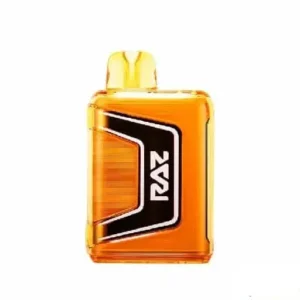 Raz 9000 Orange Raspberry - Disposable Vape