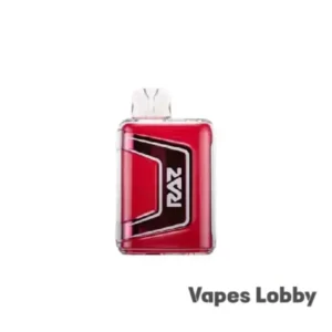 Raz 9000 Watermelon Ice - Disposable Vape