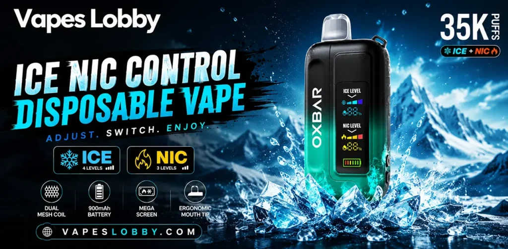 Ice Nic Control Disposable Vapes