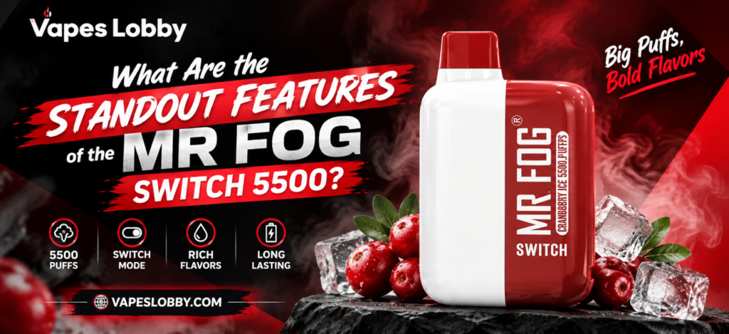Mr Fog Switch 5500 standout features with 5500 puffs, switch mode, rich flavors, and long-lasting battery