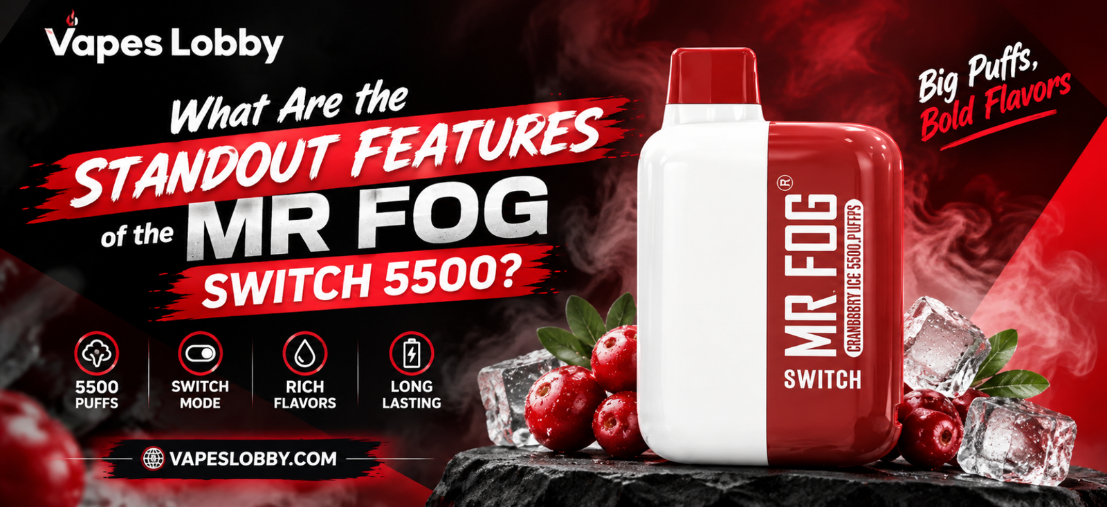 Mr Fog Switch 5500 standout features with 5500 puffs, switch mode, rich flavors, and long-lasting battery